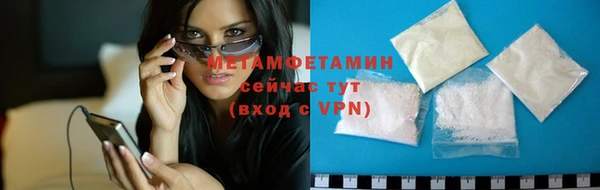 прущие грибы Богданович