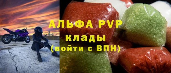 прущие грибы Богданович