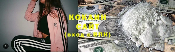 прущие грибы Богданович