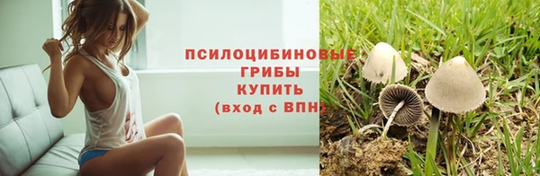 стафф Балабаново